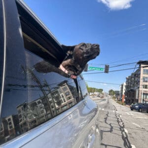 Profile photo of aaron